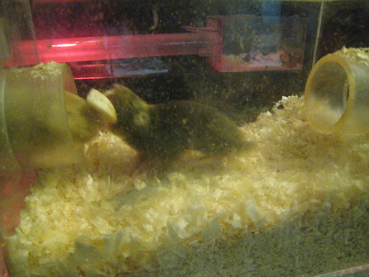 IMG_0214 (08-26-2012 11:17)