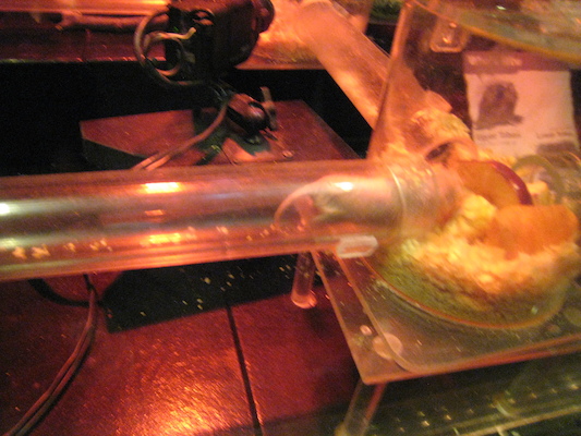 IMG_0216 (08-26-2012 11:17)