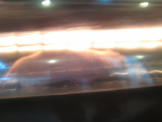 IMG_0217 (08-26-2012 11:18)