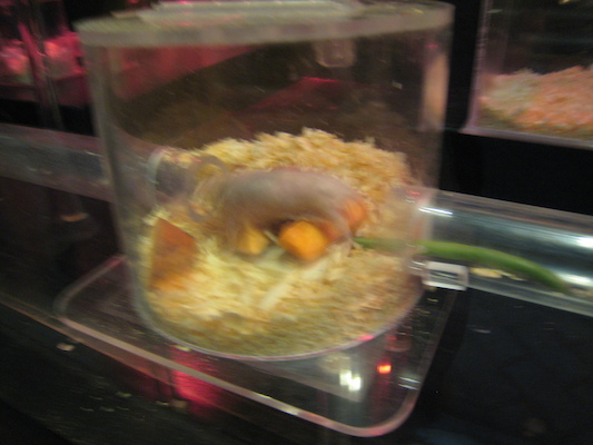 IMG_0218 (08-26-2012 11:18)