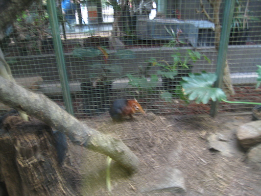 IMG_0221 (08-26-2012 11:22)