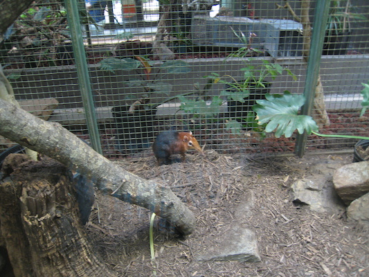 IMG_0222 (08-26-2012 11:22)