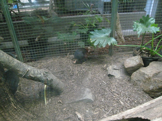 IMG_0223 (08-26-2012 11:22)