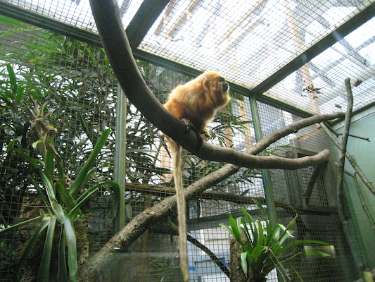 IMG_0224 (08-26-2012 11:22)