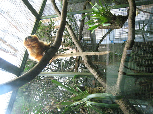 IMG_0225 (08-26-2012 11:22)