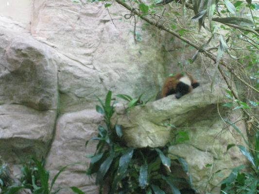 IMG_0226 (08-26-2012 11:25)