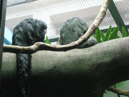 IMG_0227 (08-26-2012 11:25)