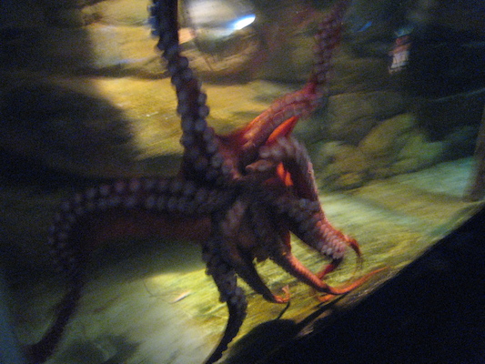 IMG_0228 (08-26-2012 11:46)