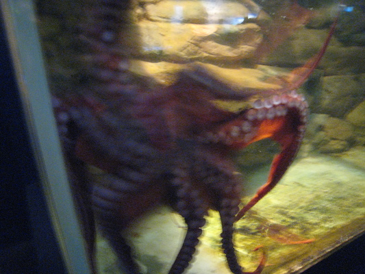 IMG_0229 (08-26-2012 11:46)