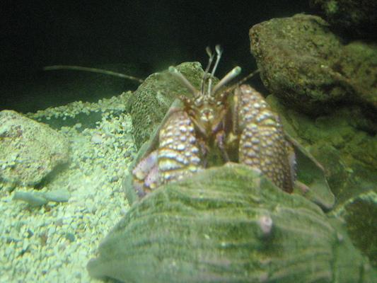 IMG_0234 (08-26-2012 11:51)