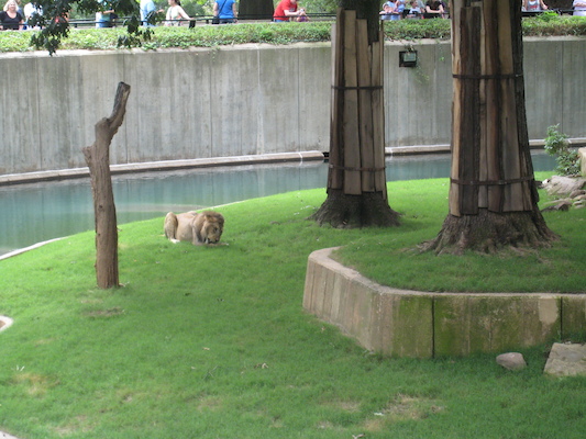 IMG_0235 (08-26-2012 12:22)