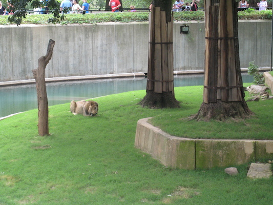 IMG_0236 (08-26-2012 12:22)