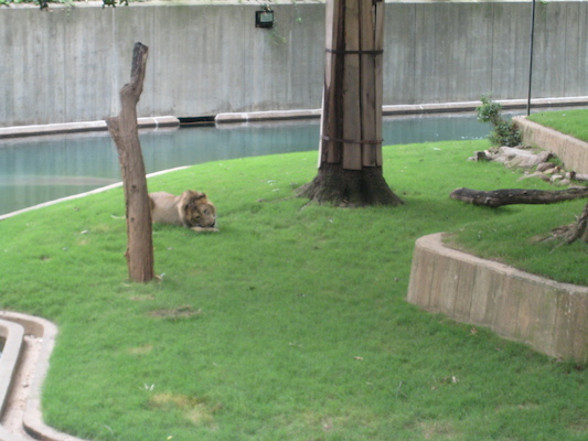 IMG_0237 (08-26-2012 12:22)