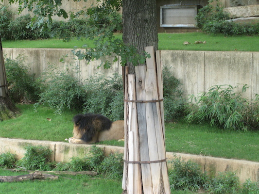 IMG_0238 (08-26-2012 12:25)