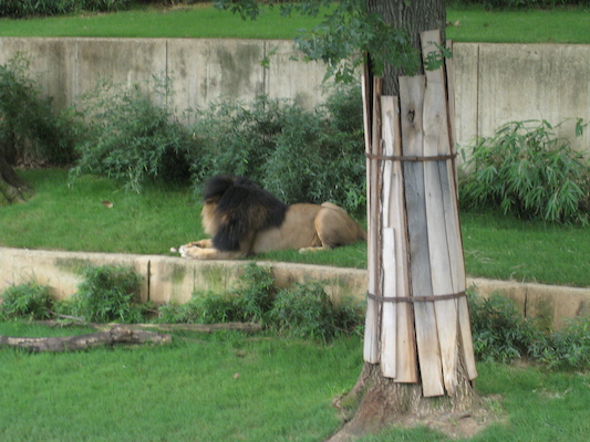 IMG_0239 (08-26-2012 12:26)