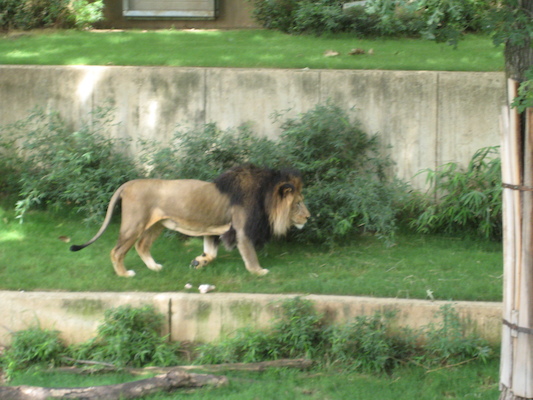 IMG_0240 (08-26-2012 12:26)