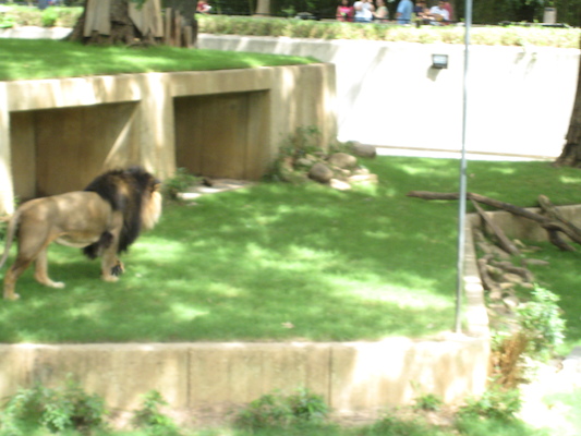 IMG_0241 (08-26-2012 12:26)