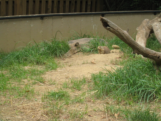 IMG_0243 (08-26-2012 12:32)