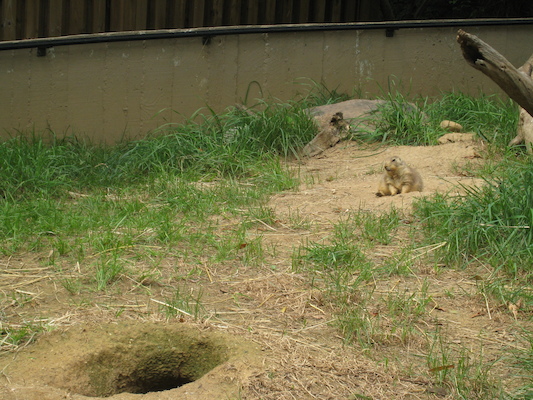 IMG_0244 (08-26-2012 12:34)