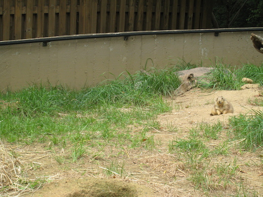 IMG_0245 (08-26-2012 12:34)