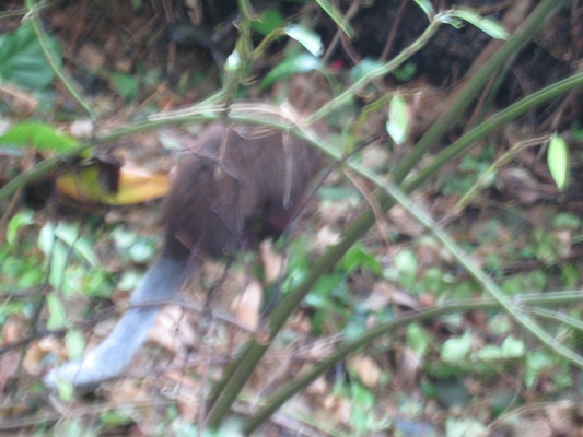 IMG_0246 (08-26-2012 13:35)