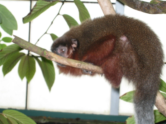 IMG_0247 (08-26-2012 13:35)