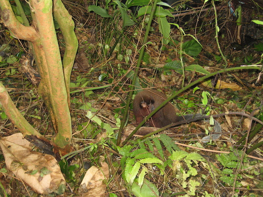 IMG_0248 (08-26-2012 13:35)