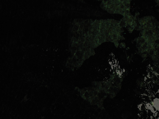 IMG_0251 (08-26-2012 13:37)