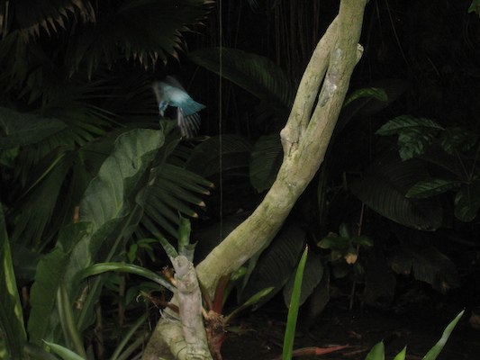 IMG_0252 (08-26-2012 13:37)