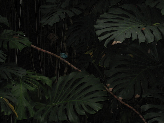 IMG_0253 (08-26-2012 13:37)