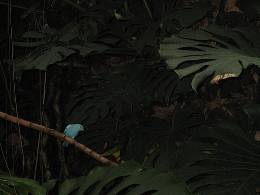 IMG_0254 (08-26-2012 13:37)