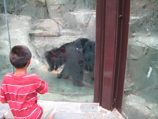 IMG_0260 (08-26-2012 15:05)