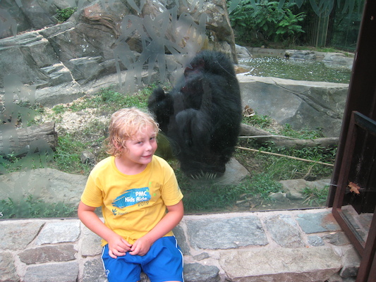 IMG_0264 (08-26-2012 15:06)