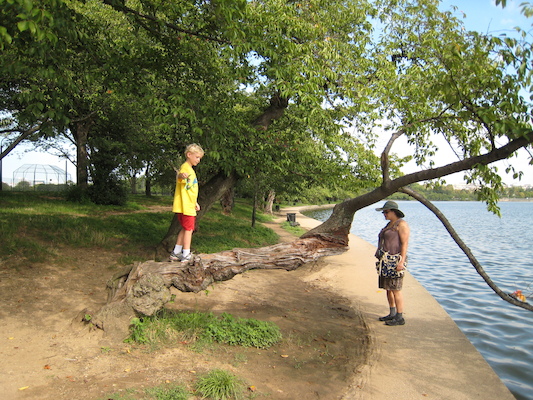 IMG_0364 (08-29-2012 10:22)