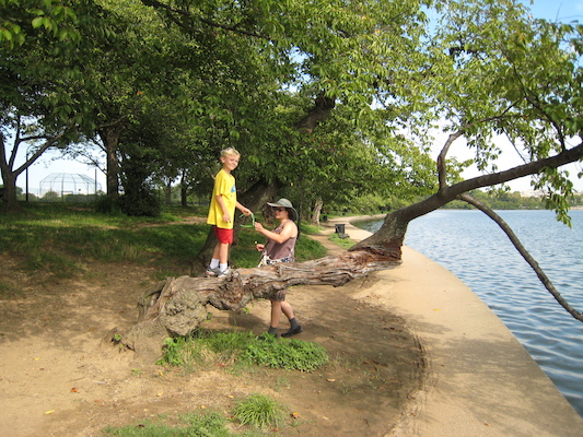 IMG_0365 (08-29-2012 10:22)