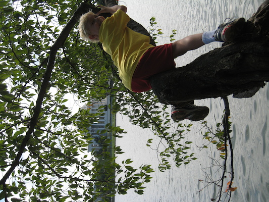 IMG_0366 (08-29-2012 10:23)