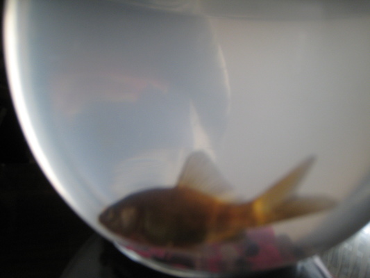 IMG_0389 (08-30-2012 09:17)