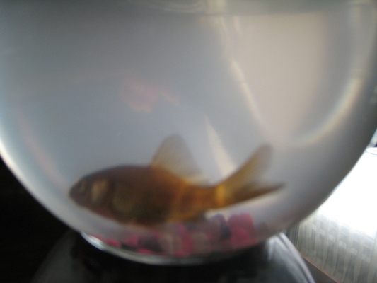 IMG_0391 (08-30-2012 09:18)