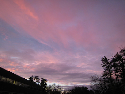 IMG_0435 (11-13-2012 17:31)