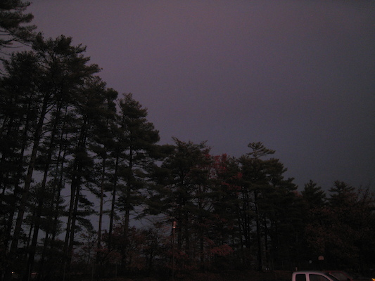 IMG_0436 (11-13-2012 17:32)