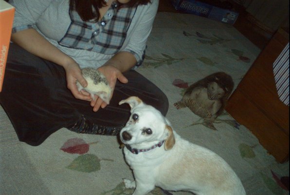 IMG_1660 (01-27-2013 08:06)