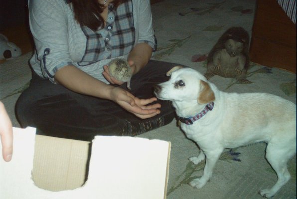 IMG_1661 (01-27-2013 08:06)