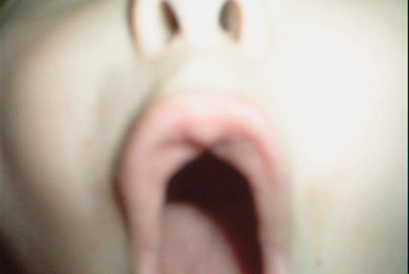 IMG_1671 (01-27-2013 11:42)