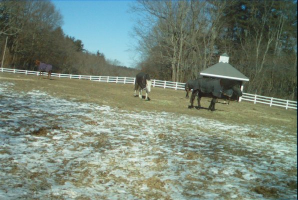 IMG_1673 (01-27-2013 11:42)