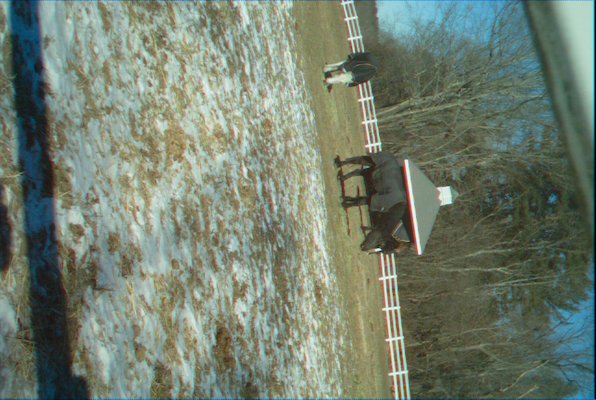 IMG_1674 (01-27-2013 11:42)