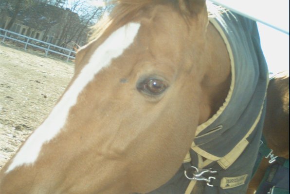 IMG_1676 (01-27-2013 11:42)