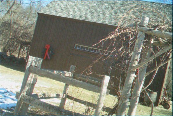 IMG_1678 (01-27-2013 11:42)