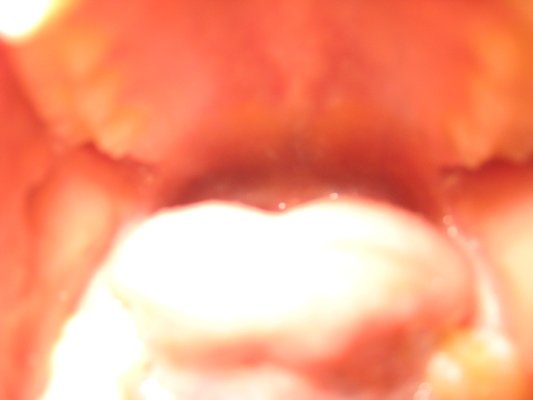 IMG_0041 (01-06-2013 11:20)