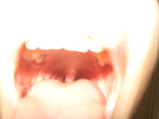 IMG_0042 (01-06-2013 11:21)