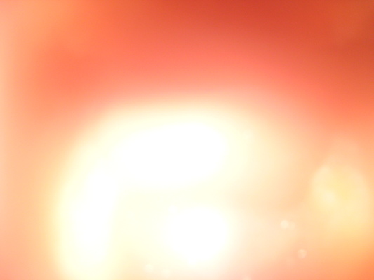 IMG_0043 (01-06-2013 11:22)